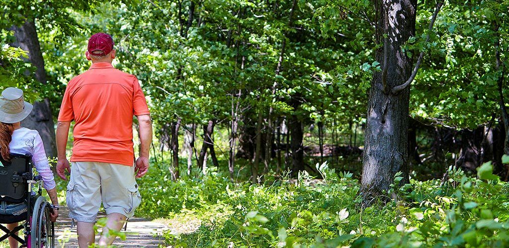 People hiking in the woods